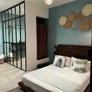 https://casa-de-luz.allrivieramayahotels.com
